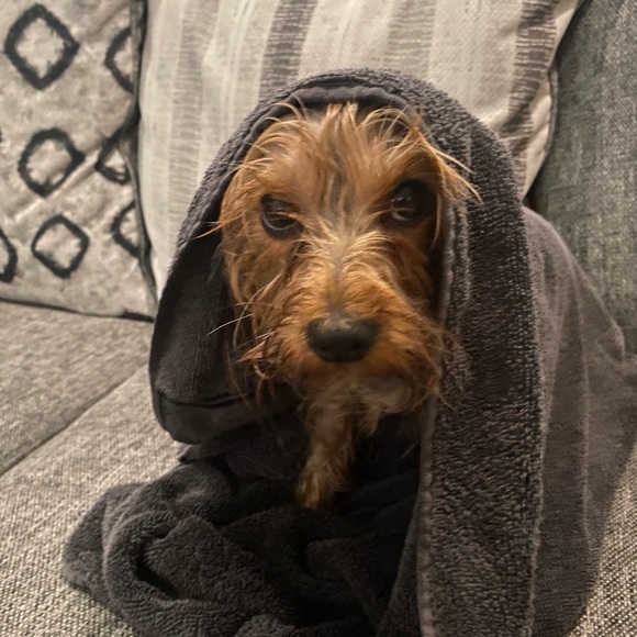 Meet your Posher, Kyle - Picture 1 of 2